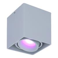 Esto smart Opbouwspot - Vierkant - Plafondspot - Kantelbaar - RGBWW - Wifi + Bluetooth - Google Home, Amazon Alexa en Siri - Grijs - Bestuurbaar via App en Stem