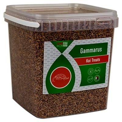 Vivani Vivani Gammarus 5L