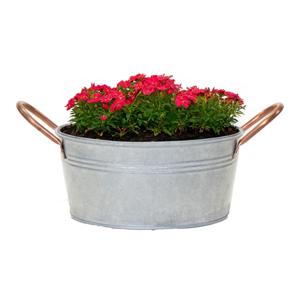 Plantenpot/bloempot teil Jean - voor buiten - zink - zilver - D22 X H10 cm