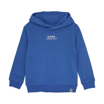 Daily7 winter hoodie jongens - blauw - backprint