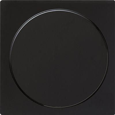 GIRA INZETPLAAT BLIND ZWART SC