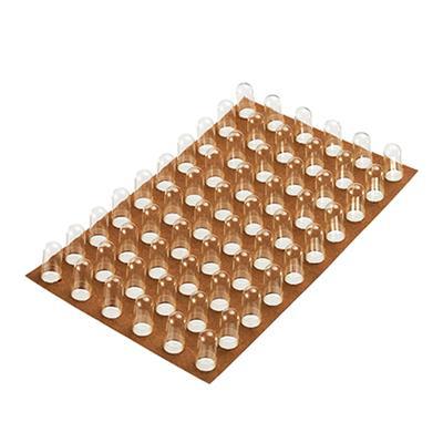 Spruyt Hillen Capsule op kaart nr. 2 60 stuks Feton/Loetschert