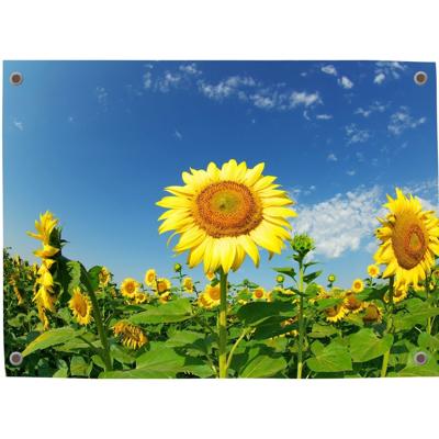 Tuinposter Zonnebloem 2 - Pillow Buddies