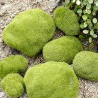 Simulatie van valse Moss simulatie van Bryophyte steen Moss stroomden valse gazon Micro landschap Decoratie accessoires Diameter: 6cm