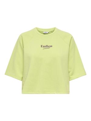 Only Onlcora S/s Print O-neck Ub Swt 15347037 Sweater 4992002 Lime Sherbet Endless Exotic