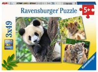 Ravensburger puzzel panda, tijger en leeuw, 3x49st.