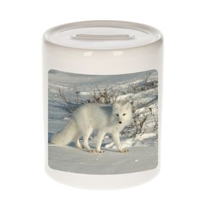 Foto poolvos spaarpot 9 cm - Cadeau vossen liefhebber