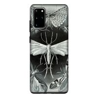 Haeckel Tineida: Samsung Galaxy S20 Plus Tough Case