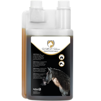 Excellent Horse H.M.P. Liquid 1 l