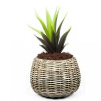 Planten/bloemen mand - rond - rotan - gevlochten riet - D57 x H44 cm - drypot