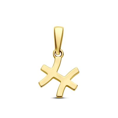 14k Geelgouden Hanger Sterrenbeeld Vissen - Per Stuk