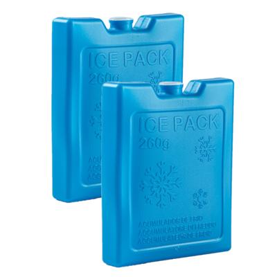 Koelelementen - 260 gram - 4x stuks - 13 x 10.5 x 2 cm - blauw - kunststof - sneeuwvlokken print Koelelementen - 260 gram - 4x stuks - 13 x 10.5 x 2 cm - blauw - kunststof - sneeuwvlokken print