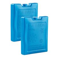 Koelelementen - 260 gram - 4x stuks - 13 x 10.5 x 2 cm - blauw - kunststof - sneeuwvlokken print