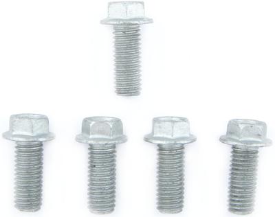 TRW bouten set screw set 5pcs. m8x1,25