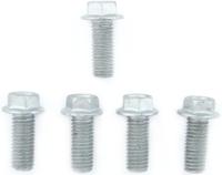 TRW bouten set screw set 5pcs. m8x1,25
