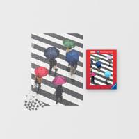 Ravensburger legpuzzel (karton) 1000 stukjes