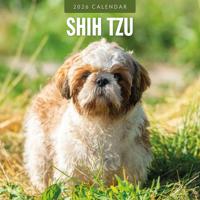 Shih Tzu Kalender 2026