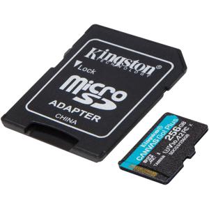 Kingston Kingston Canvas Go! Plus microSDXC 256 GB