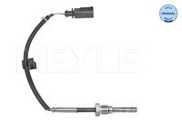 Sensor, uitlaatgastemperatuur 1148000204