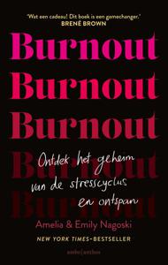 Burnout (Paperback)