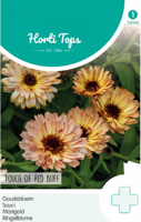 Zaden goudsbloem touch of red buff 0.75 gram - Hortitops
