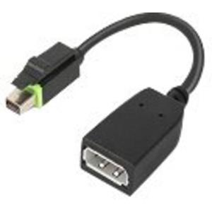 Lenovo 4X90Q93975 video kabel adapter Mini DisplayPort DisplayPort Zwart