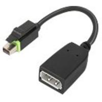 Lenovo 4X90Q93975 video kabel adapter Mini DisplayPort DisplayPort Zwart - thumbnail