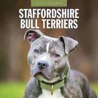 Staffordshire Bull Terrier Kalender 2026