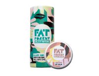 Fat Forest Skin Bar Pack Ginger & Cinnamon - thumbnail
