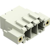 WAGO 831-3623/108-000 Female connector 24 stuk(s)