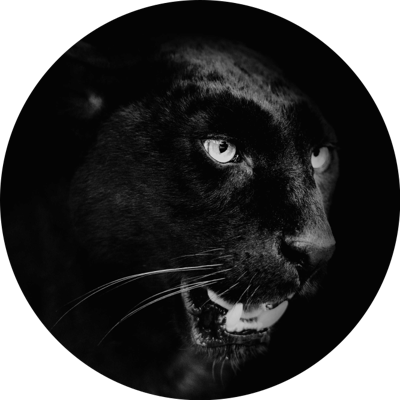Zwarte black panter vinyl tapijt