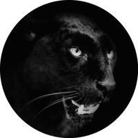 Zwarte black panter vinyl tapijt