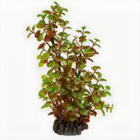 Superfish Art Plant Rotala 25cm - Onderhoudsvrije Aquarium Kunstplant, Veilig & Realistisch