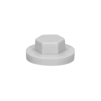 pgb-Europe PGB-FASTENERS | Afdekkap zeskant SW 3/8" (16mm) R7047 0AFD06N00001670475
