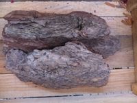 Drie stukken boomschors Warentuin Natuurlijk - Warentuin natuurlijk
