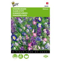 2 stuks Zomerbloemen Blauwe Tinten - thumbnail