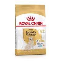 Royal Canin Labrador Retriever Adult 5+ hondenvoer voor honden vanaf 5 jaar 12kg - thumbnail