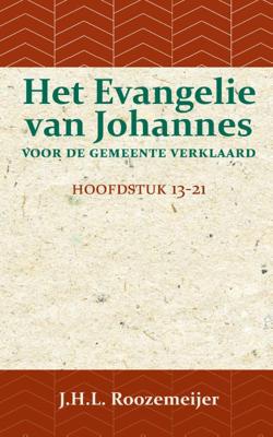 Het Evangelie van Johannes voor de Gemeente verklaard 3 (Paperback)