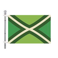 Achterhoek vlag met Vlaggenstok set - groen - 90 x 150 cm - achterhoekse vlag