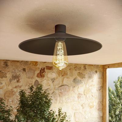 Retro plafondlamp zwart industrieel IP44 30 cm