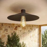 Retro plafondlamp zwart industrieel IP44 30 cm