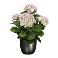 Hortensia kunstplant/kunstbloemen 45 cm - paars/groen - in pot titanium grijs glans