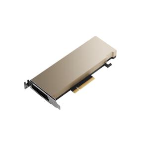 PNY A2 Videokaart 16 GB PCIe 3.0 x8