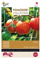 Pomodori tigerella - Buzzy