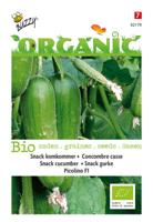 Organic Snackkomkommer Picolino (BIO) - Buzzy