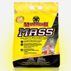 Mammoth Mass