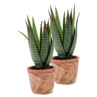 Kunstplant Aloe Vera - 2x - groen - in oude terracotta pot - 23 cm - thumbnail