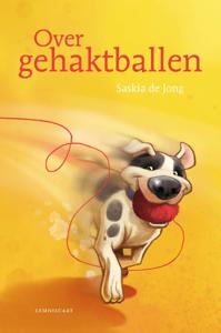 Over gehaktballen (Hardback)