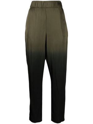 Raquel Allegra pantalon Fez à effet dégradé - Vert