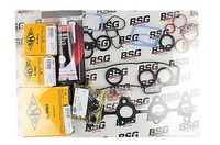 Complete pakkingset, motor BSG30115008